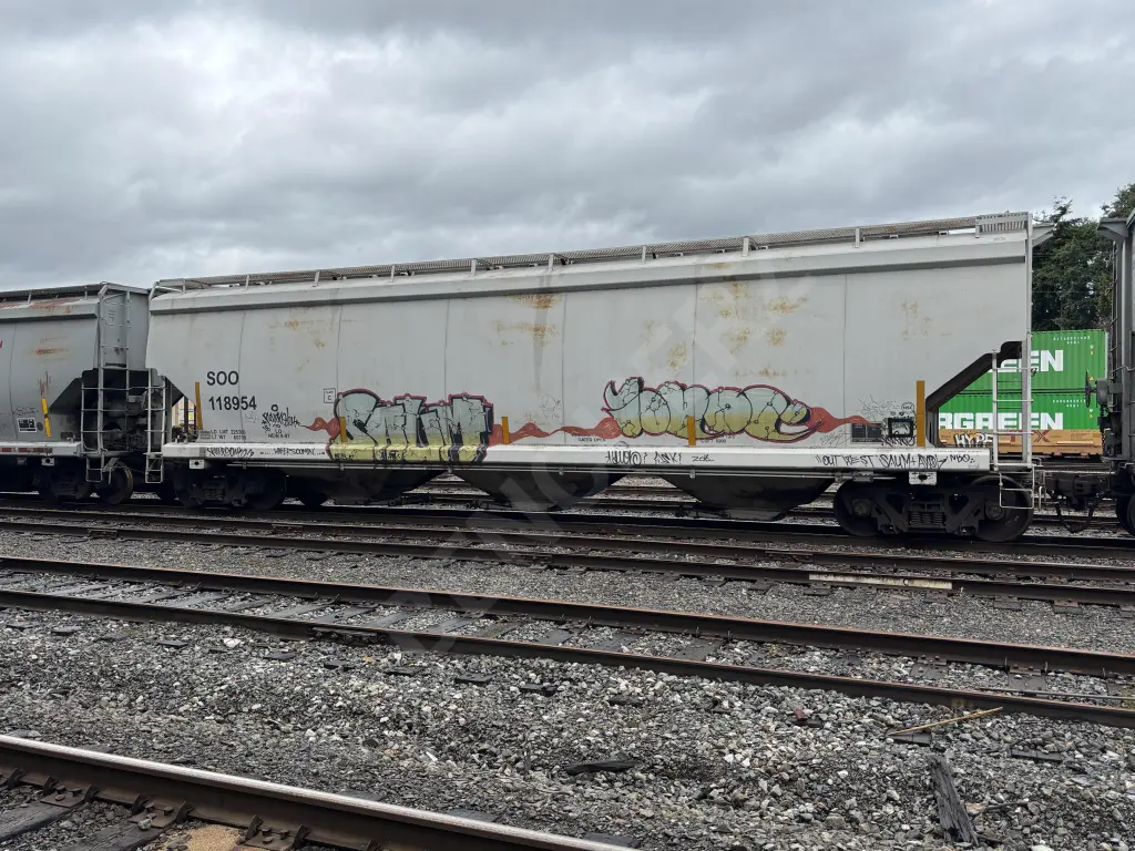 SOO118954 - NORTH-AMERICA