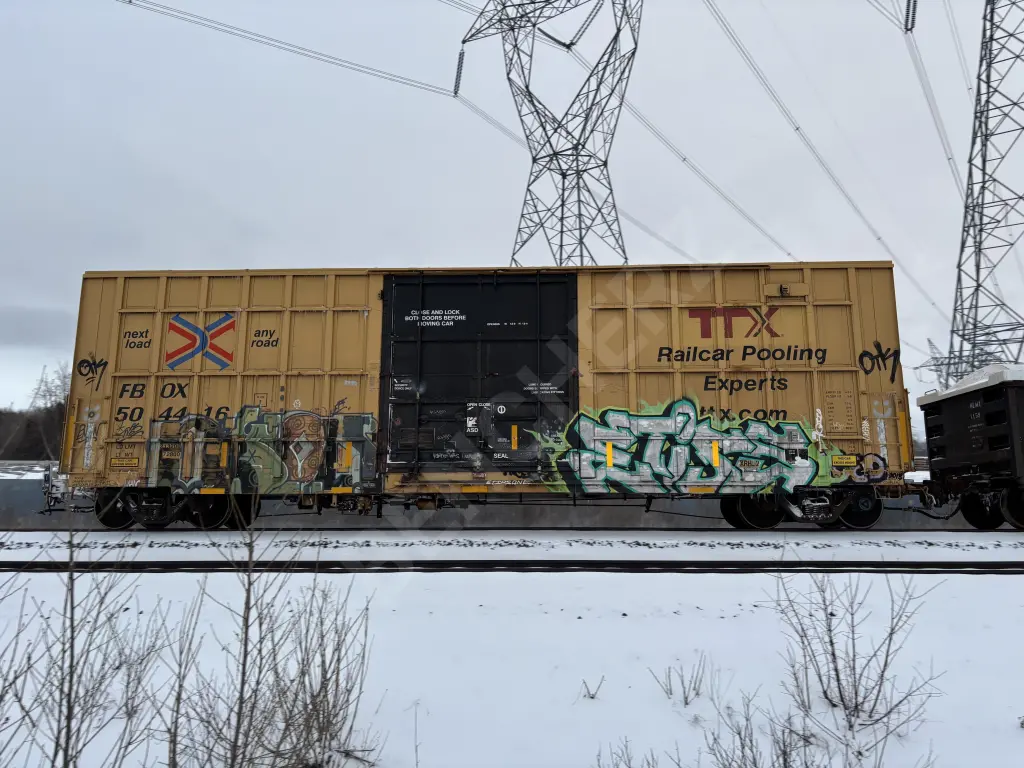 FBOX504416 - NORTH-AMERICA
