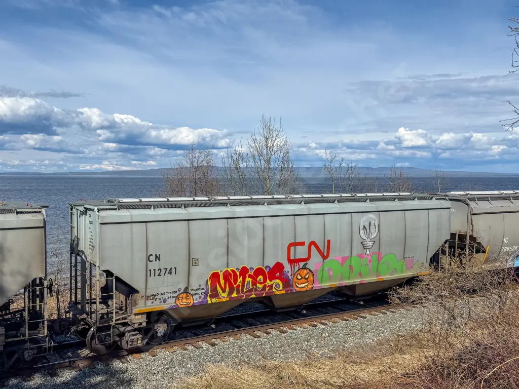 CN112741 - NORTH-AMERICA
