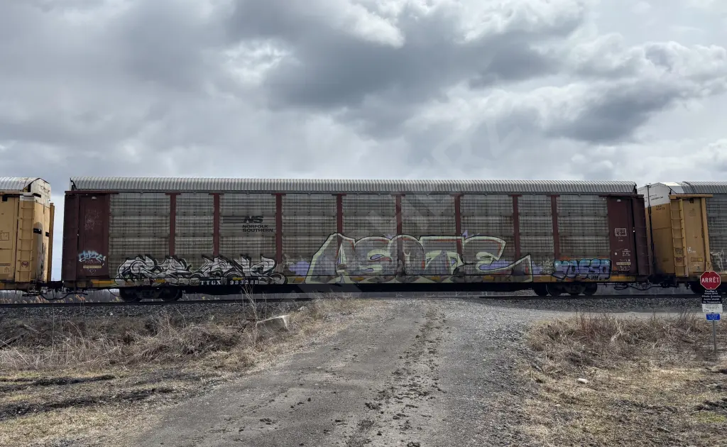 TTGX983238 - NORTH-AMERICA