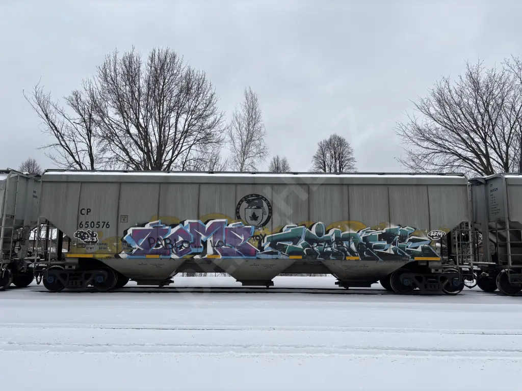 CP650576 - NORTH-AMERICA