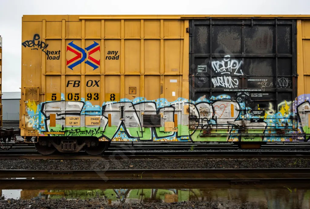 FBOX505938 - NORTH-AMERICA