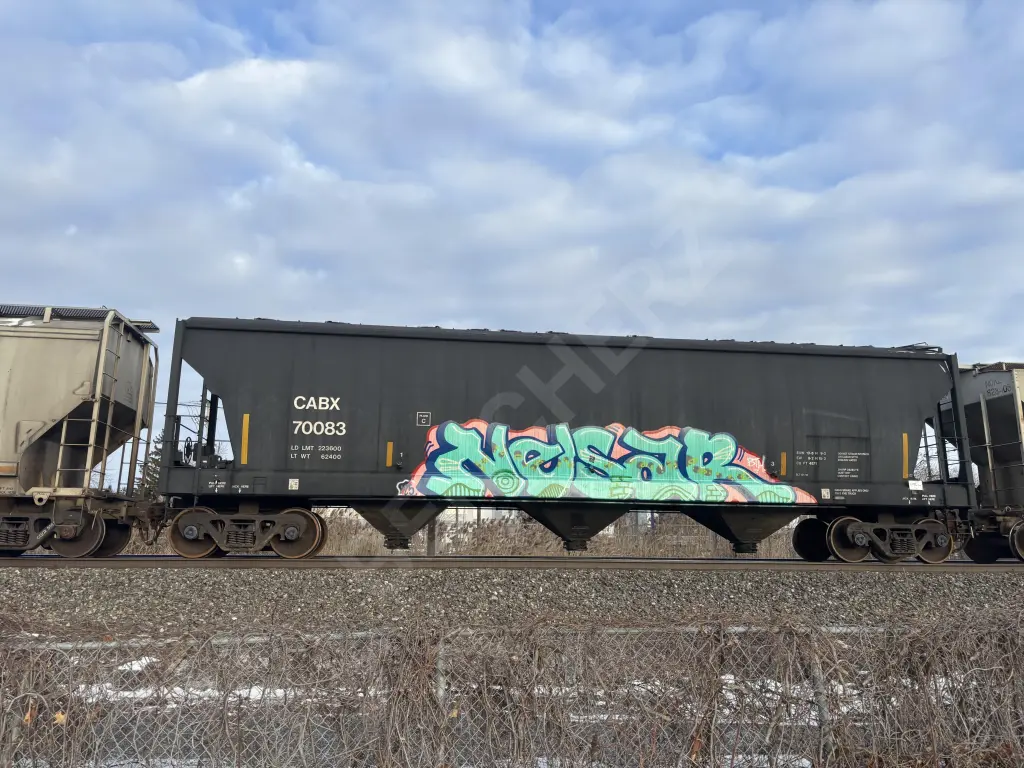 CABX70083 - NORTH-AMERICA