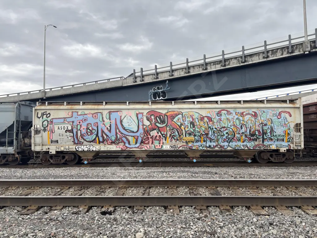 ASOX895036 - NORTH-AMERICA