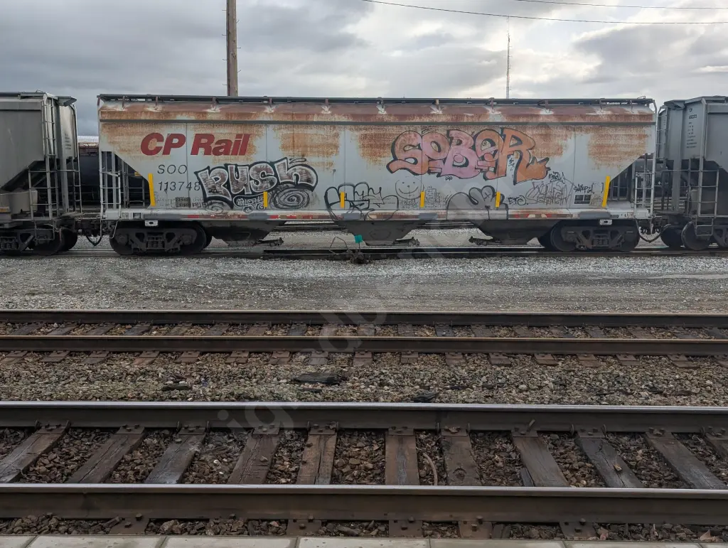SOO113748 - NORTH-AMERICA