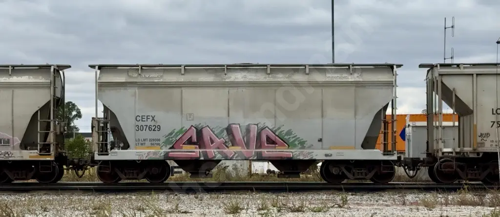 CEFX307629 - NORTH-AMERICA