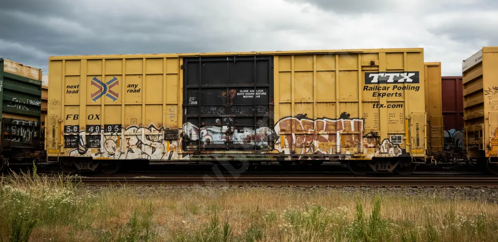 FBOX504995 - NORTH-AMERICA