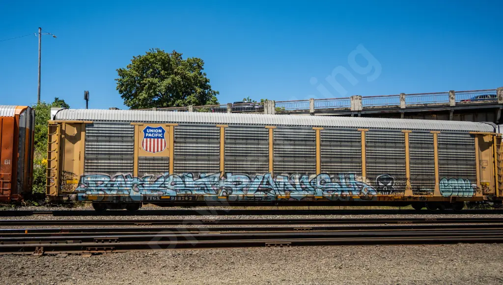 TTGX988262 - NORTH-AMERICA