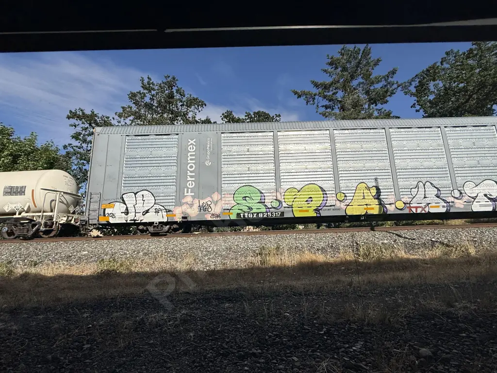 TTGX825317 - NORTH-AMERICA