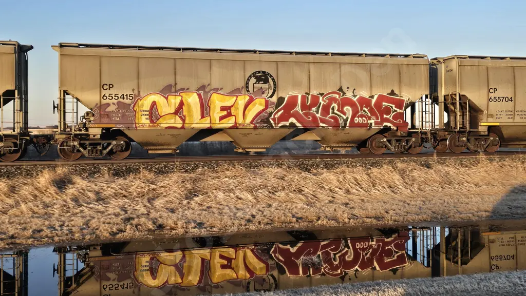 CP655415 - NORTH-AMERICA