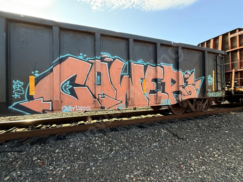 CHTT723496 - NORTH-AMERICA