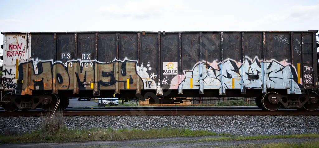 PSRX40029 - NORTH-AMERICA