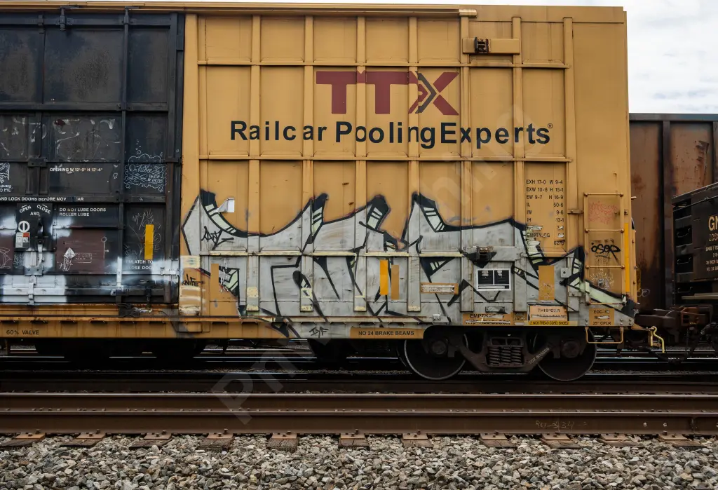 FBOX505886 - NORTH-AMERICA