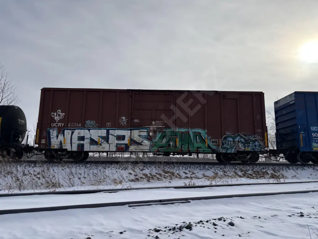 UCRY86244 - NORTH-AMERICA