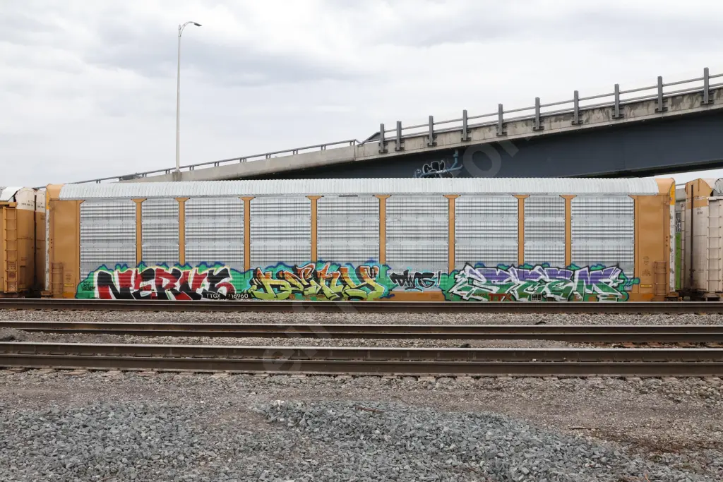 TTGX716960 - NORTH-AMERICA