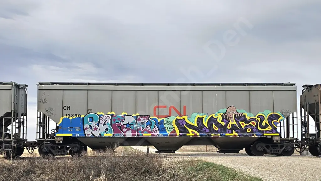 CN112890 - NORTH-AMERICA