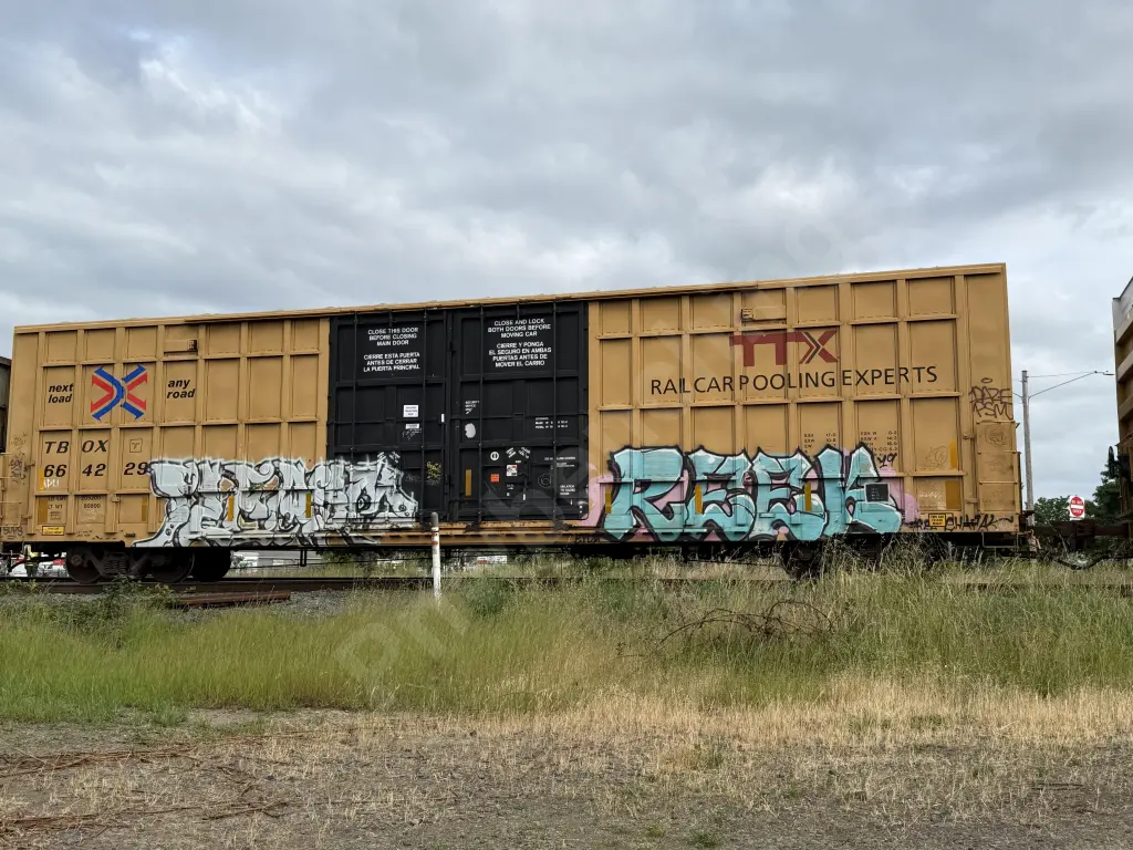 TBOX664229 - NORTH-AMERICA