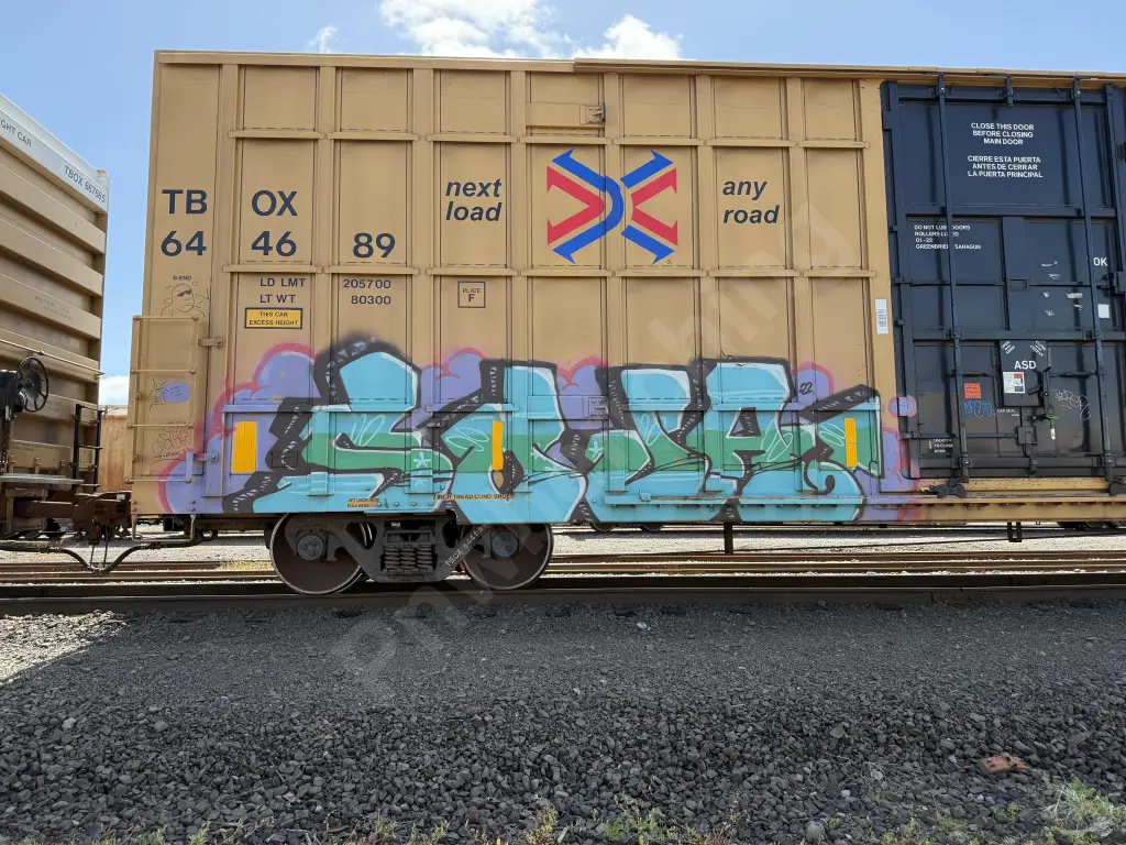 TBOX644689 - NORTH-AMERICA