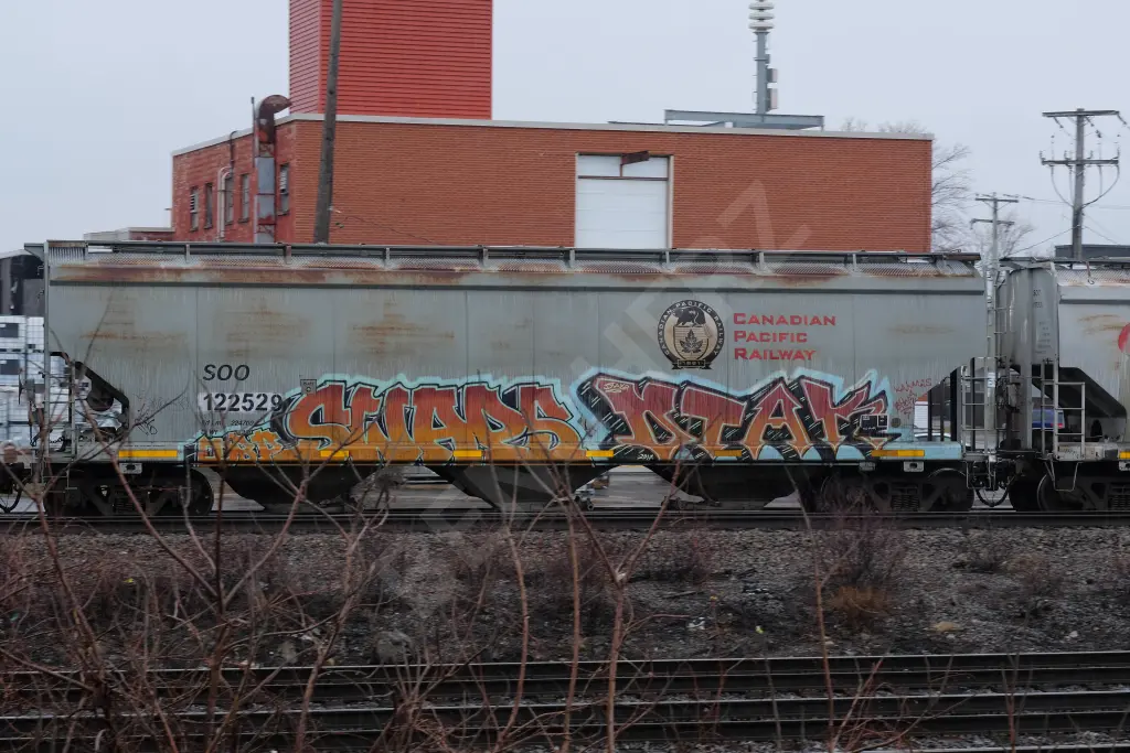SOO122529 - NORTH-AMERICA