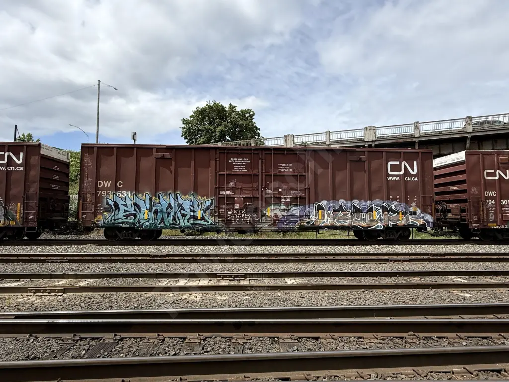 DWC793631 - NORTH-AMERICA