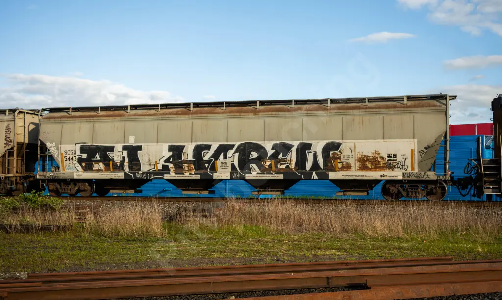 SCGX5443 - NORTH-AMERICA