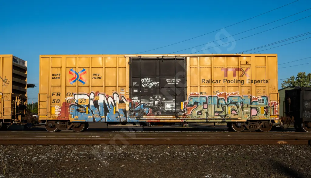 FBOX506225 - NORTH-AMERICA