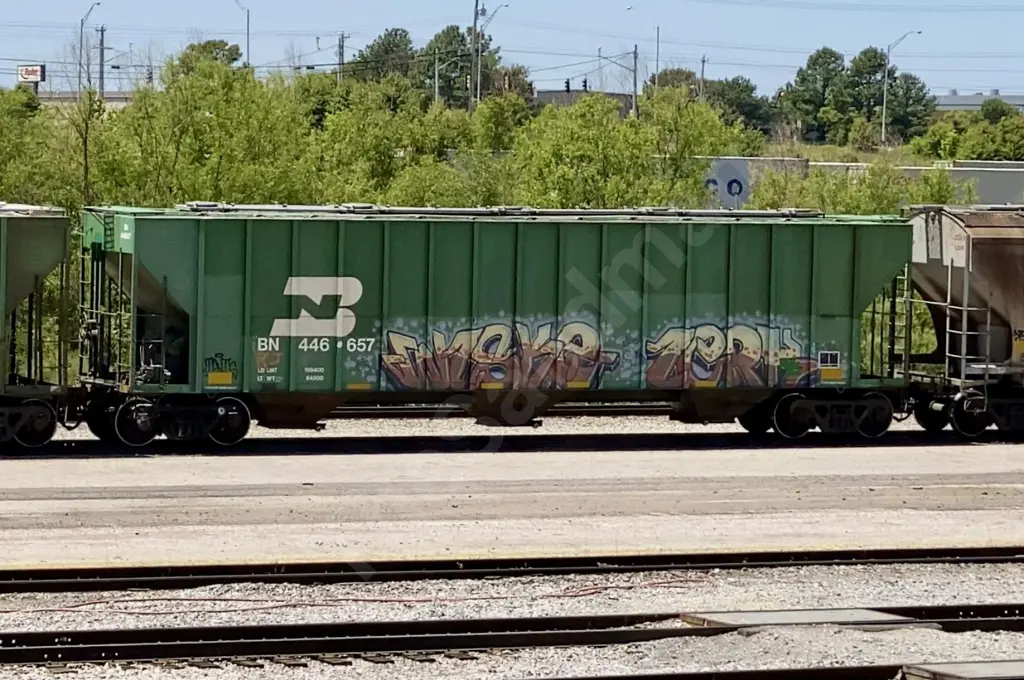 Train photo