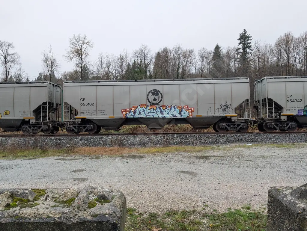 CP655182 - NORTH-AMERICA