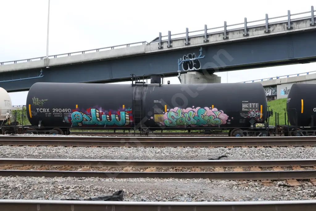TCBX290490 - NORTH-AMERICA