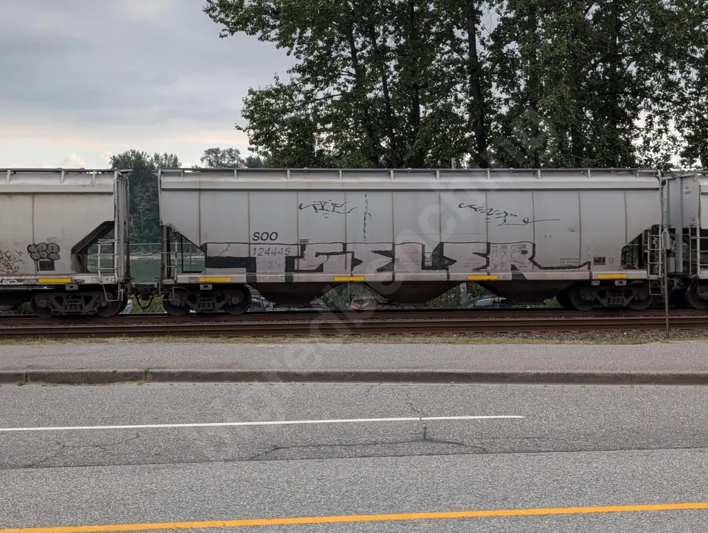 SOO124445 - NORTH-AMERICA