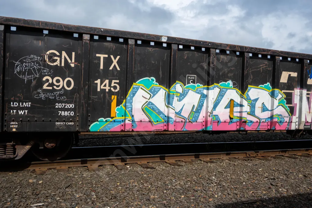 GNTX290145 - NORTH-AMERICA