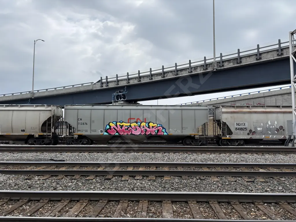 CN113876 - NORTH-AMERICA