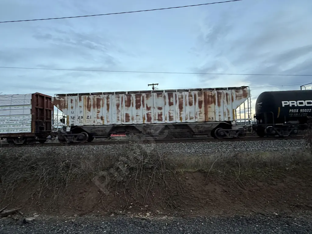 MP722321 - NORTH-AMERICA