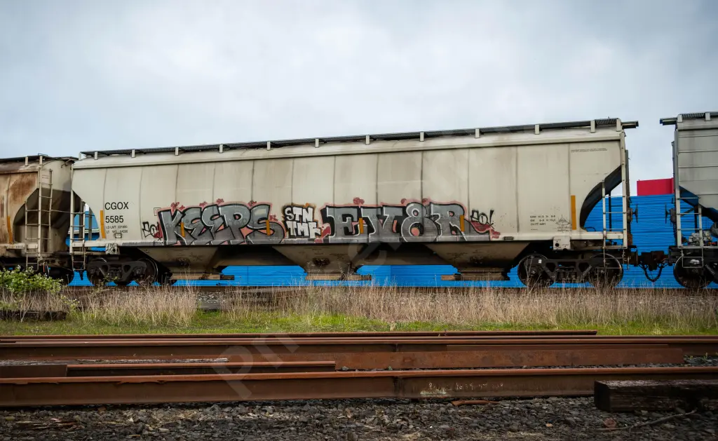 CGOX5585 - NORTH-AMERICA