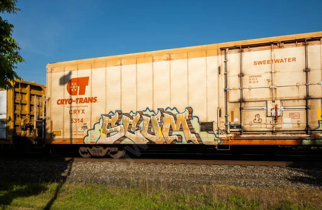 CRYX5314 - NORTH-AMERICA
