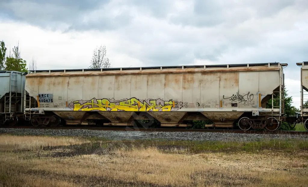 MWCX480475 - NORTH-AMERICA