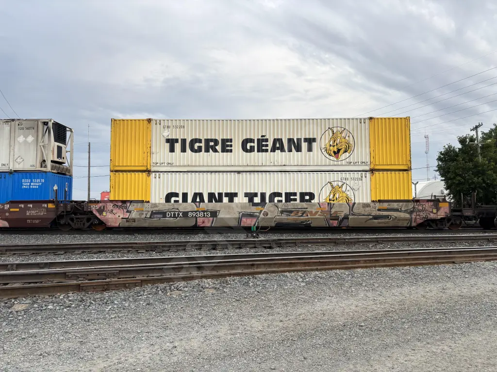 DTTX893813 - NORTH-AMERICA