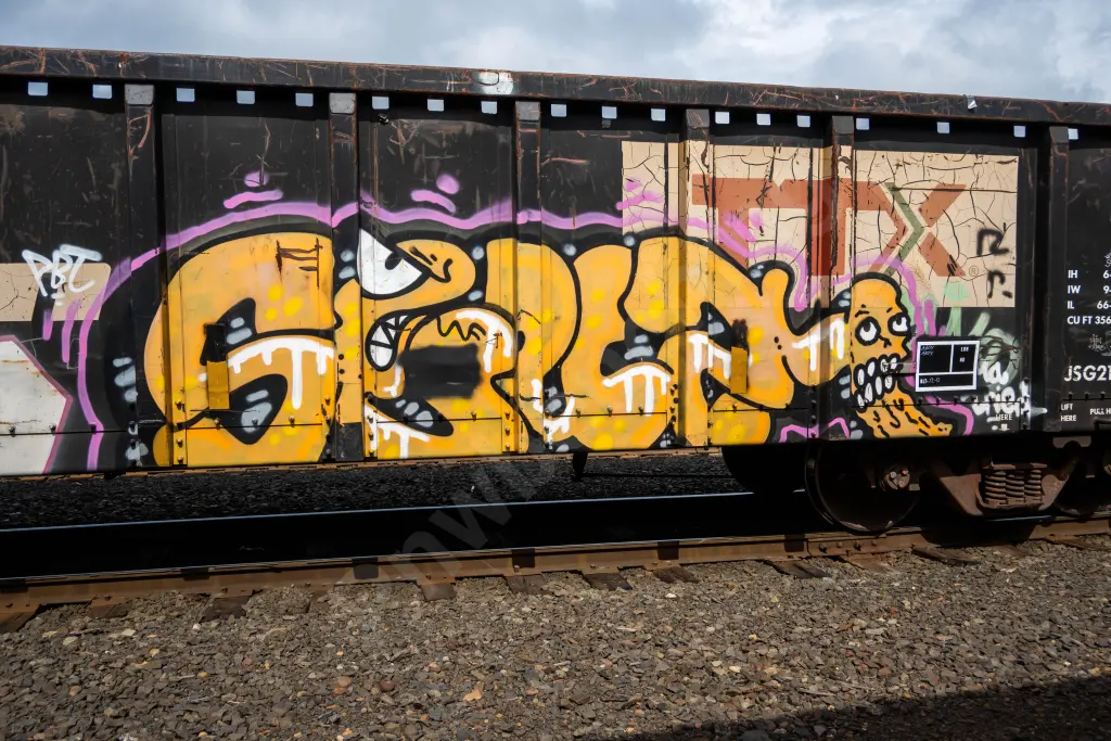 GNTX290145 - NORTH-AMERICA