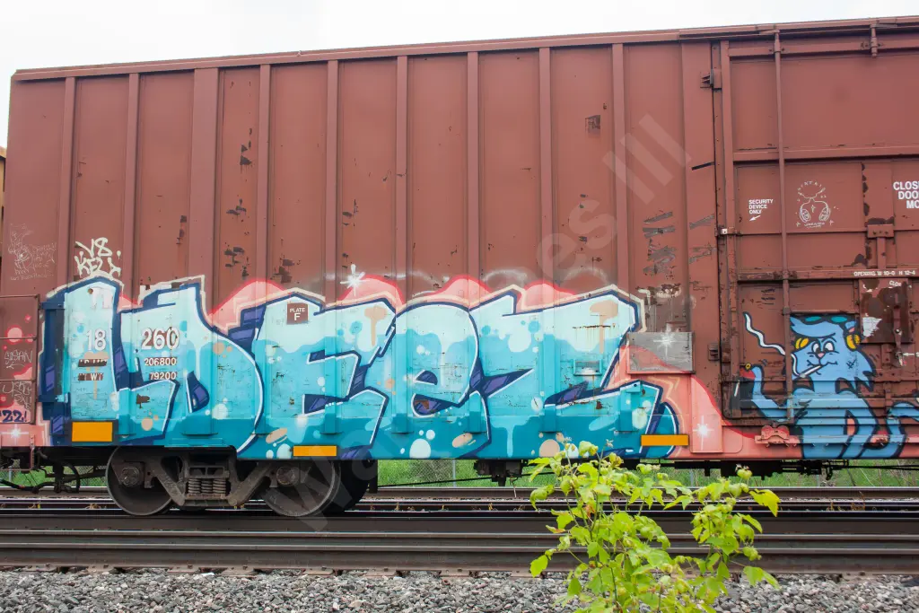 TR18260 - NORTH-AMERICA