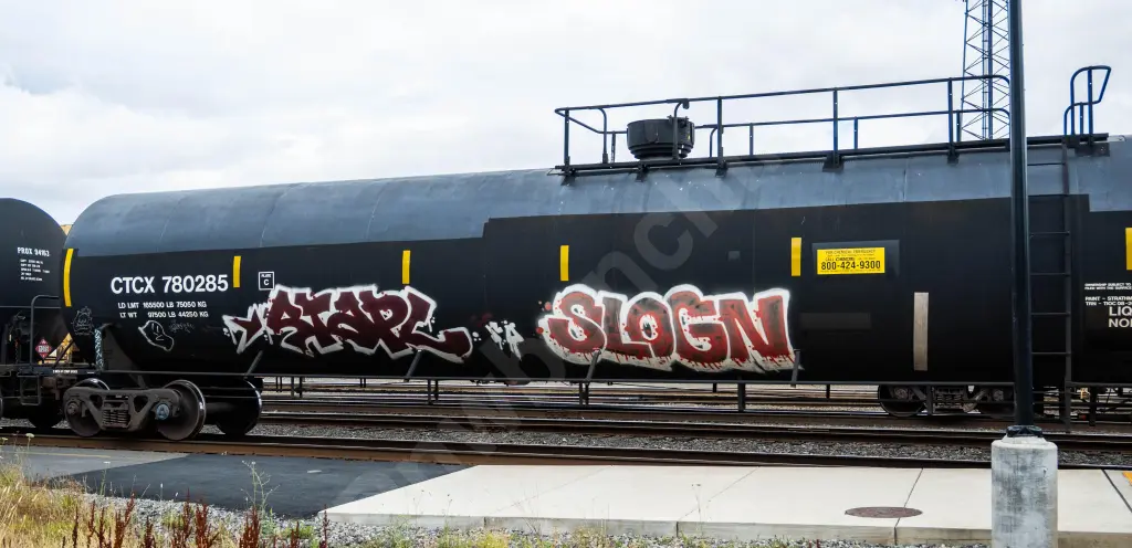 CTCX780285 - NORTH-AMERICA