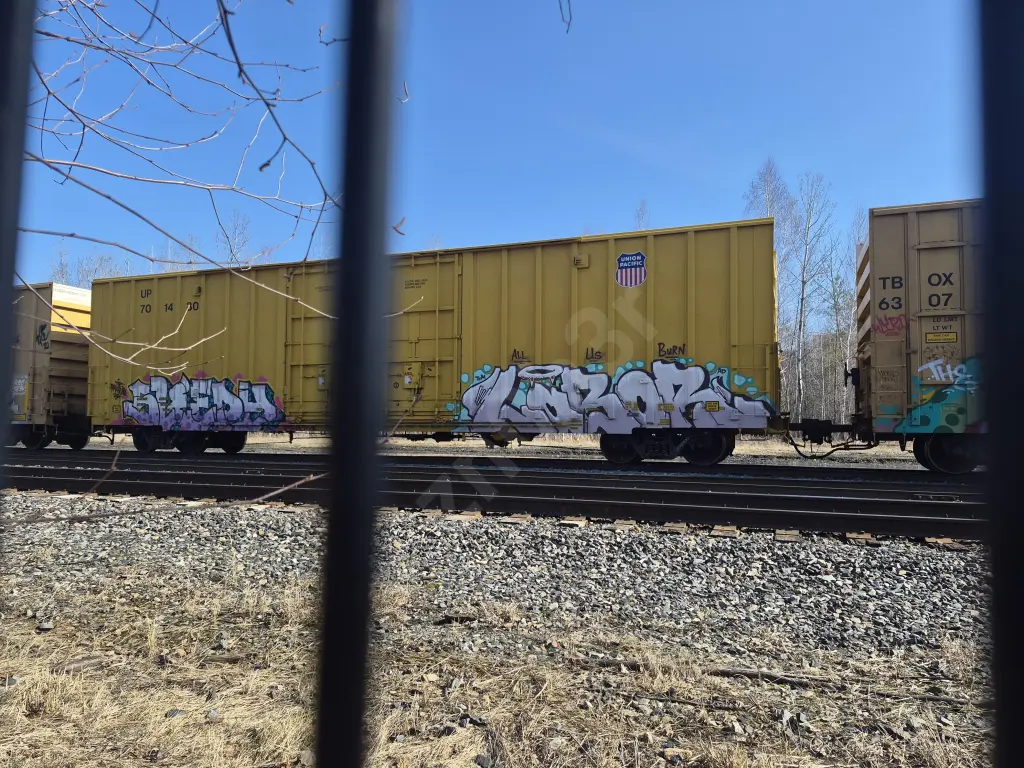 UP701430 - NORTH-AMERICA