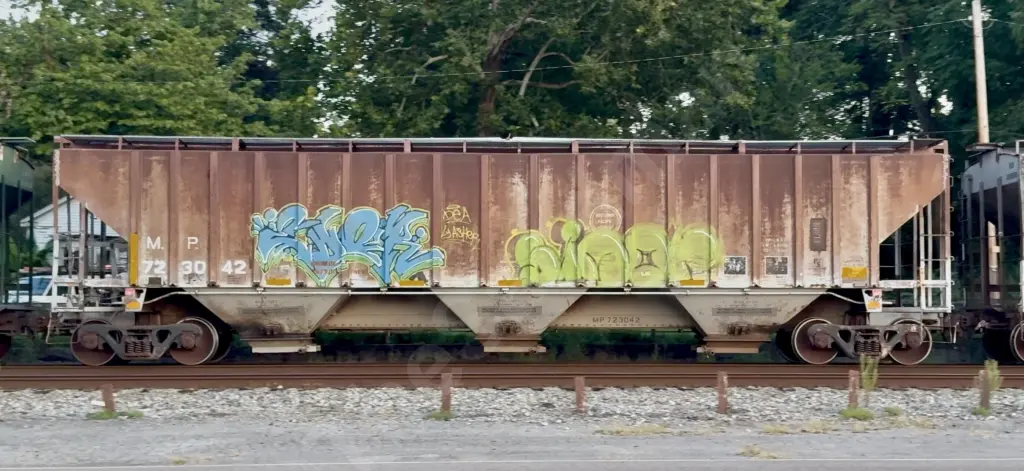 MP723042 - NORTH-AMERICA