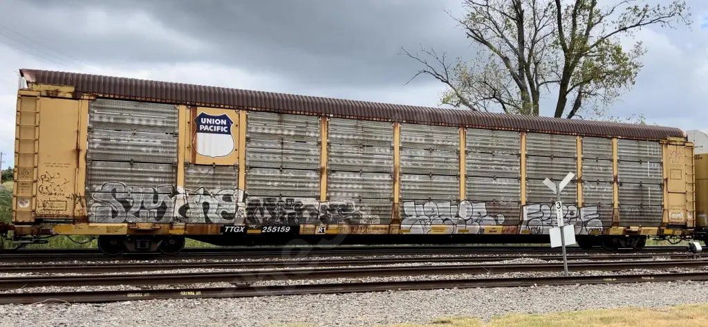 TTGX255159 - NORTH-AMERICA
