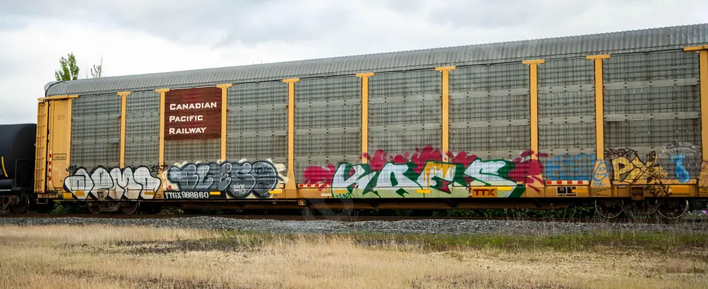 TTGX988860 - NORTH-AMERICA