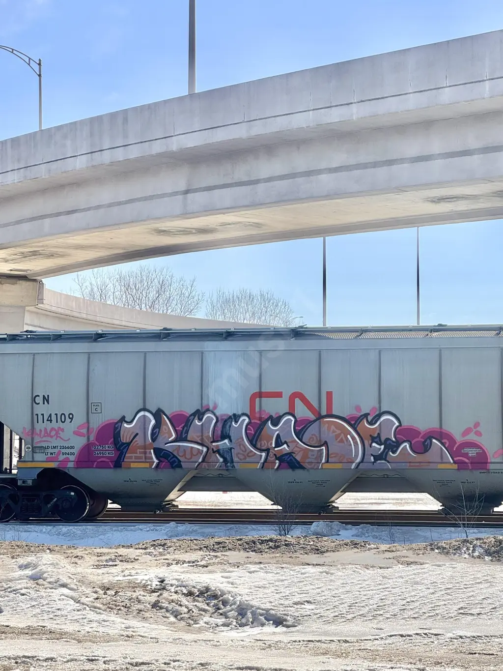 CN114109 - NORTH-AMERICA