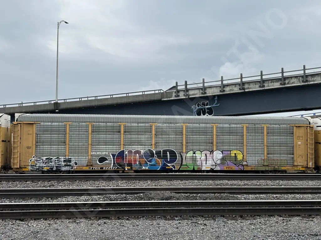 TTGX922177 - NORTH-AMERICA