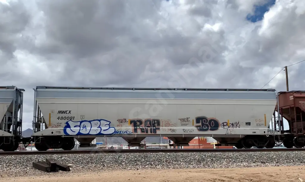 MWCX480081 - NORTH-AMERICA