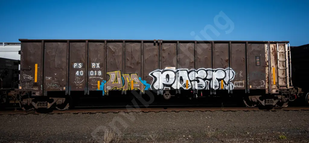 PSRX40018 - NORTH-AMERICA