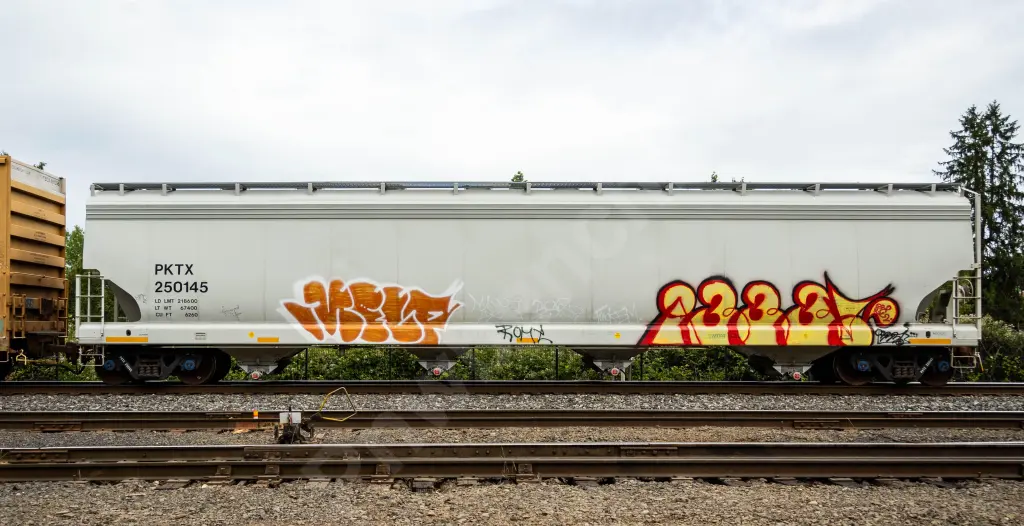 PKTX250145 - NORTH-AMERICA