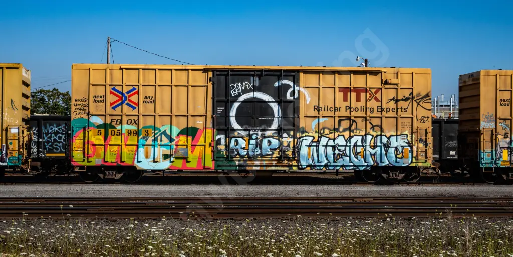 FBOX5059993 - NORTH-AMERICA